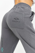 Утеплённые спортивные штаны/джоггеры женские, серые, bp.012.004
